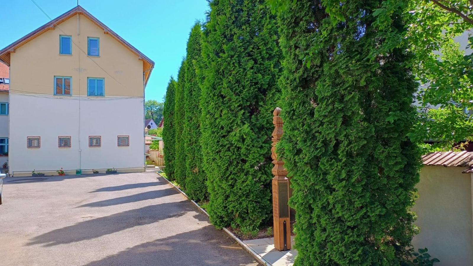 Centrul Gaudeamus Hostel Sighişoara Buitenkant foto
